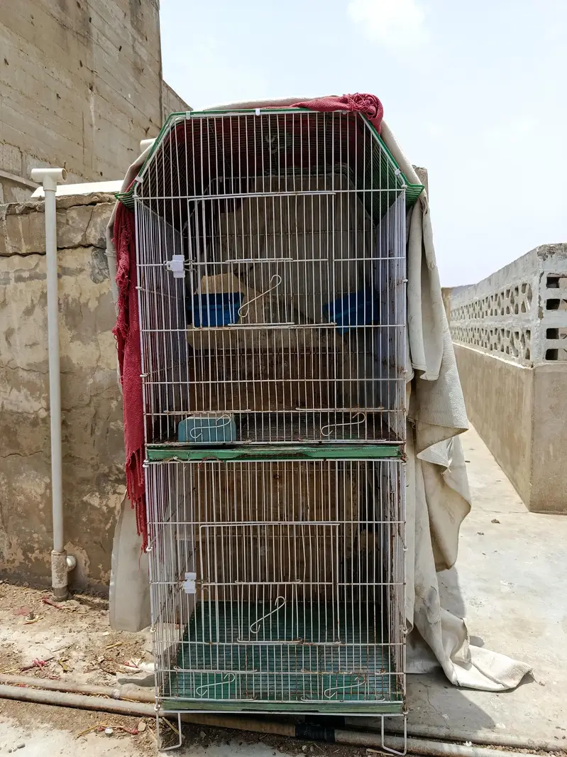 3 cages for hen pinjra — photo 7