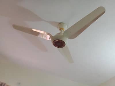 fan for sale