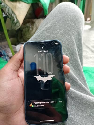 Apple iPhone 12 mini