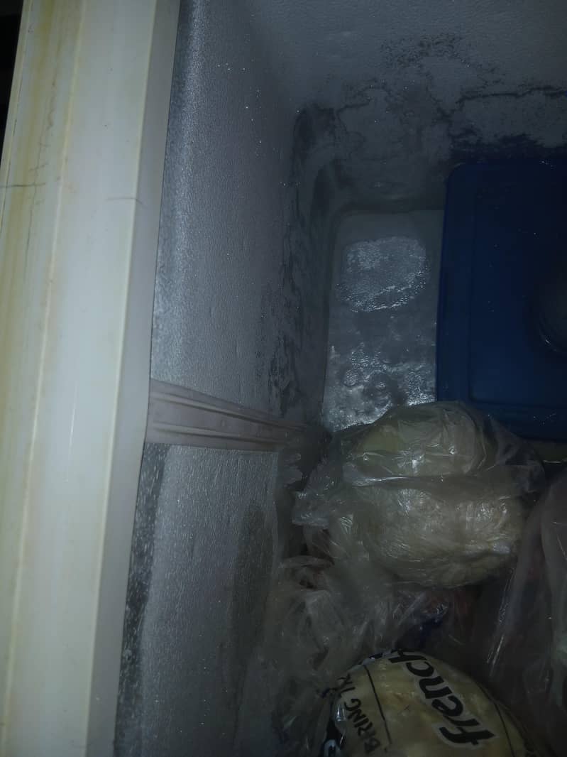Deep Freezer 7