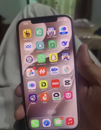 Apple iPhone 12 Pro Max