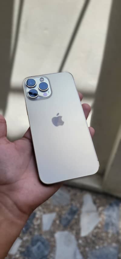 Apple iPhone 13 Pro Max PTA