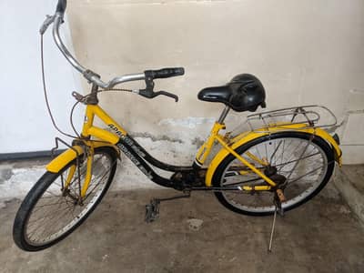 China Cycle