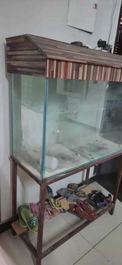 Urgent Sale Cage and Fish Aquarium
