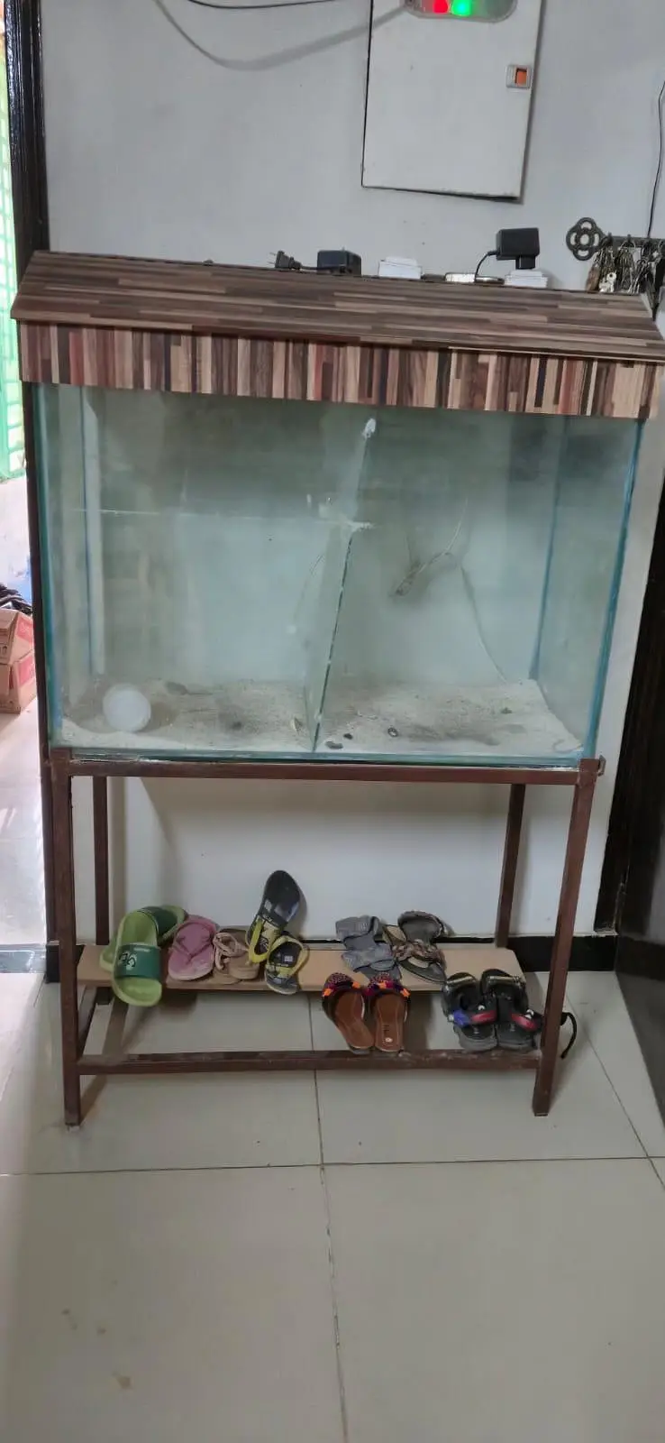 Urgent Sale Cage and Fish Aquarium — photo 2
