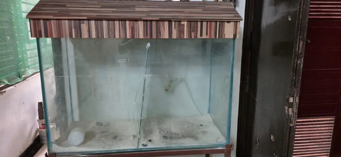 Urgent Sale Cage and Fish Aquarium — photo 3