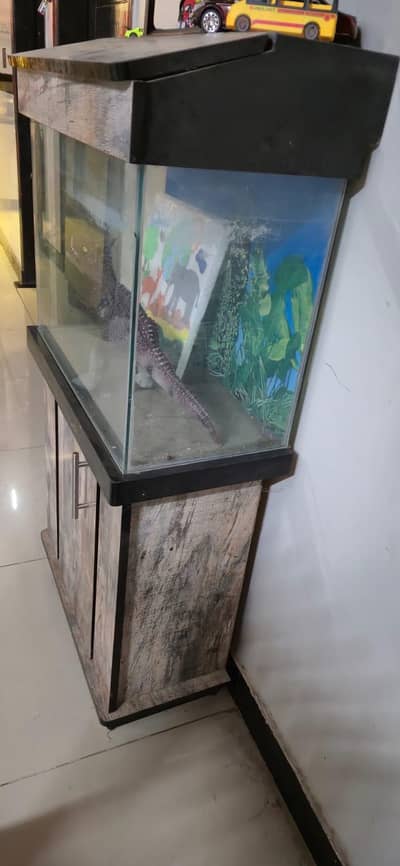 Urgent Sale Cage and Fish Aquarium