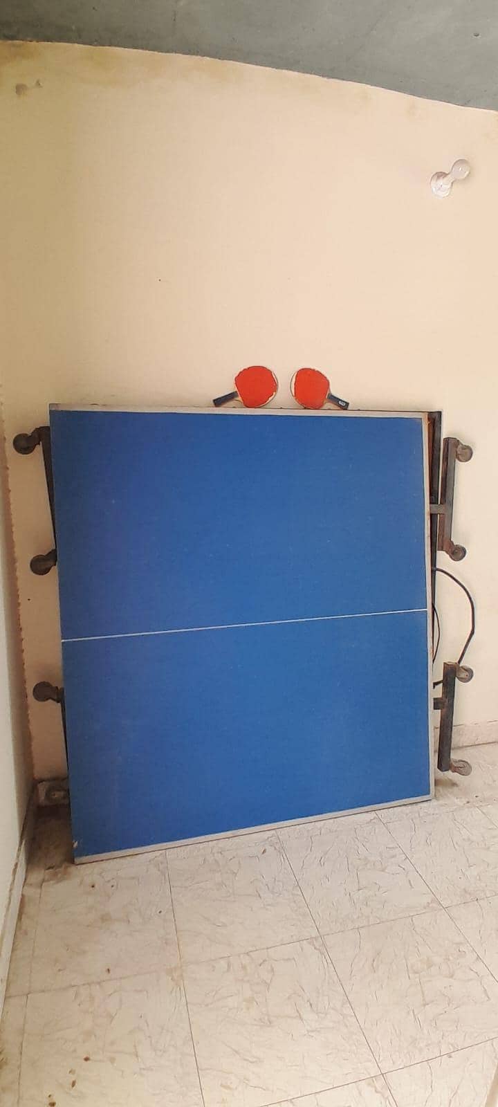 Table tennis table 1