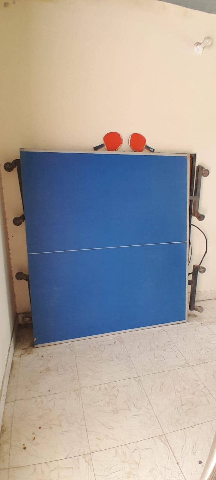 Table tennis table 2