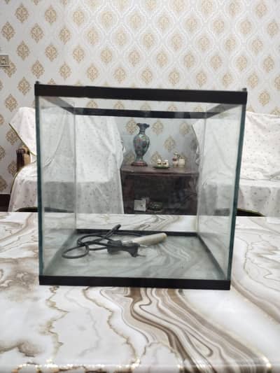 Fish Aquarium