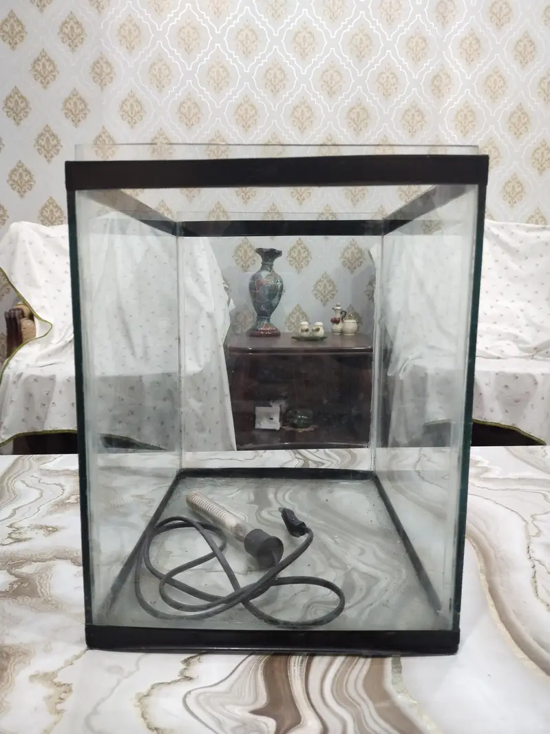 Fish Aquarium — photo 2