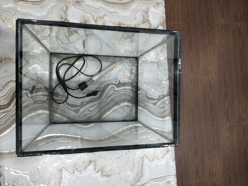 Fish Aquarium — photo 3