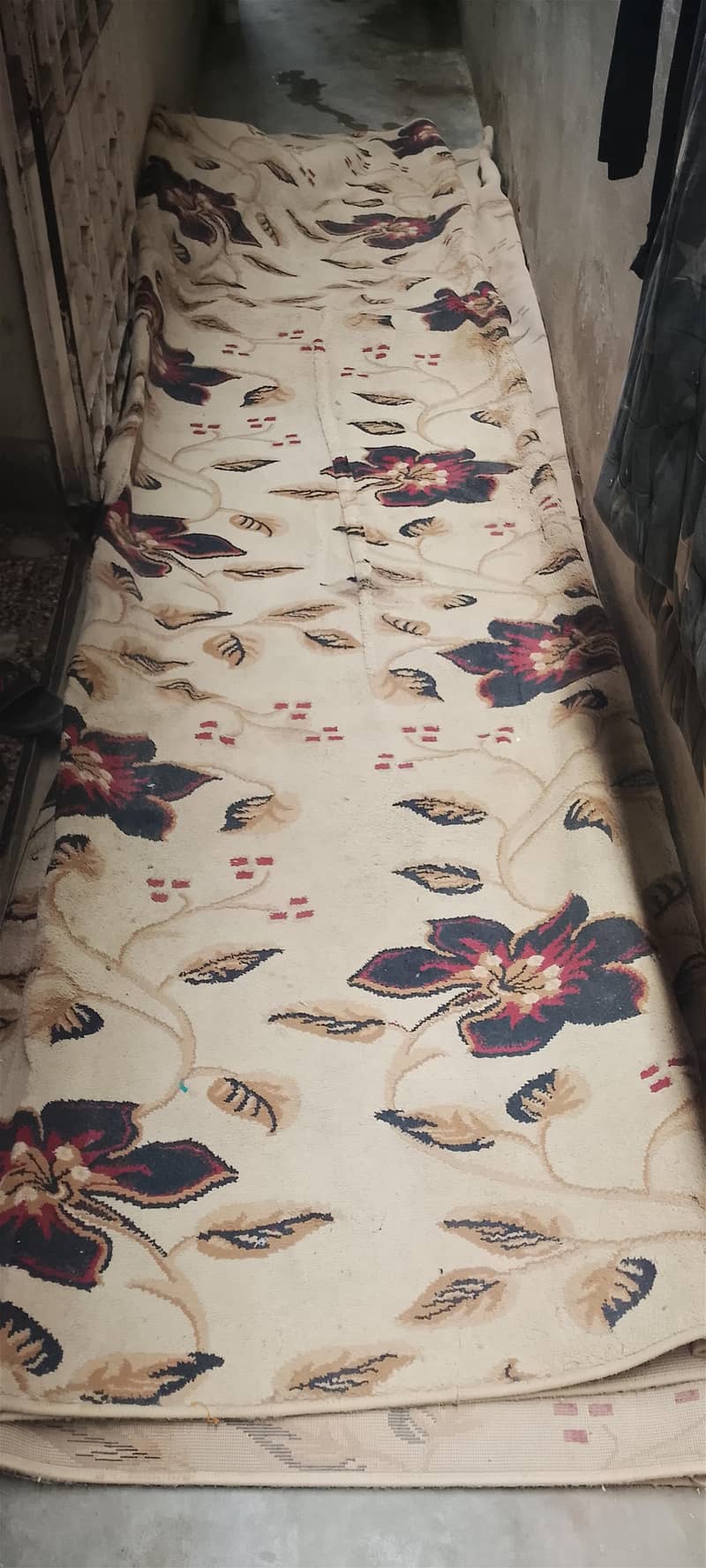 carpet dringroom 0