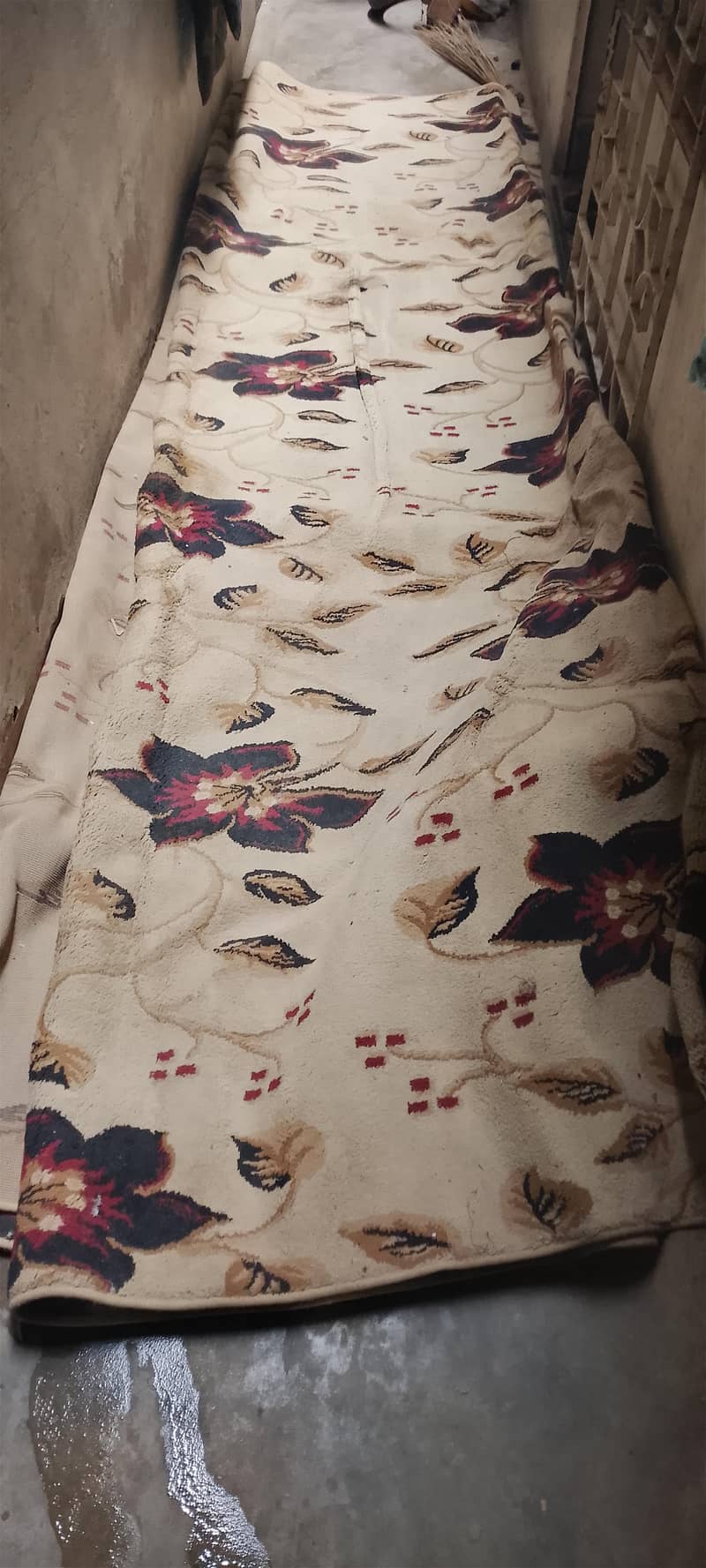 carpet dringroom 1