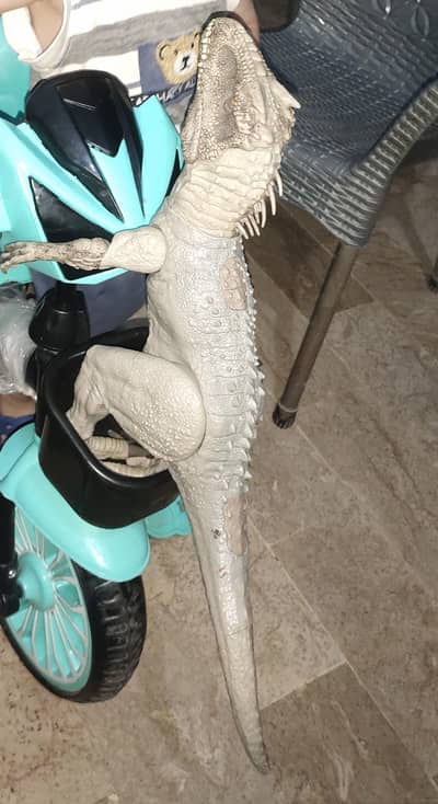Dinosaur toys for kids and also show piece for home