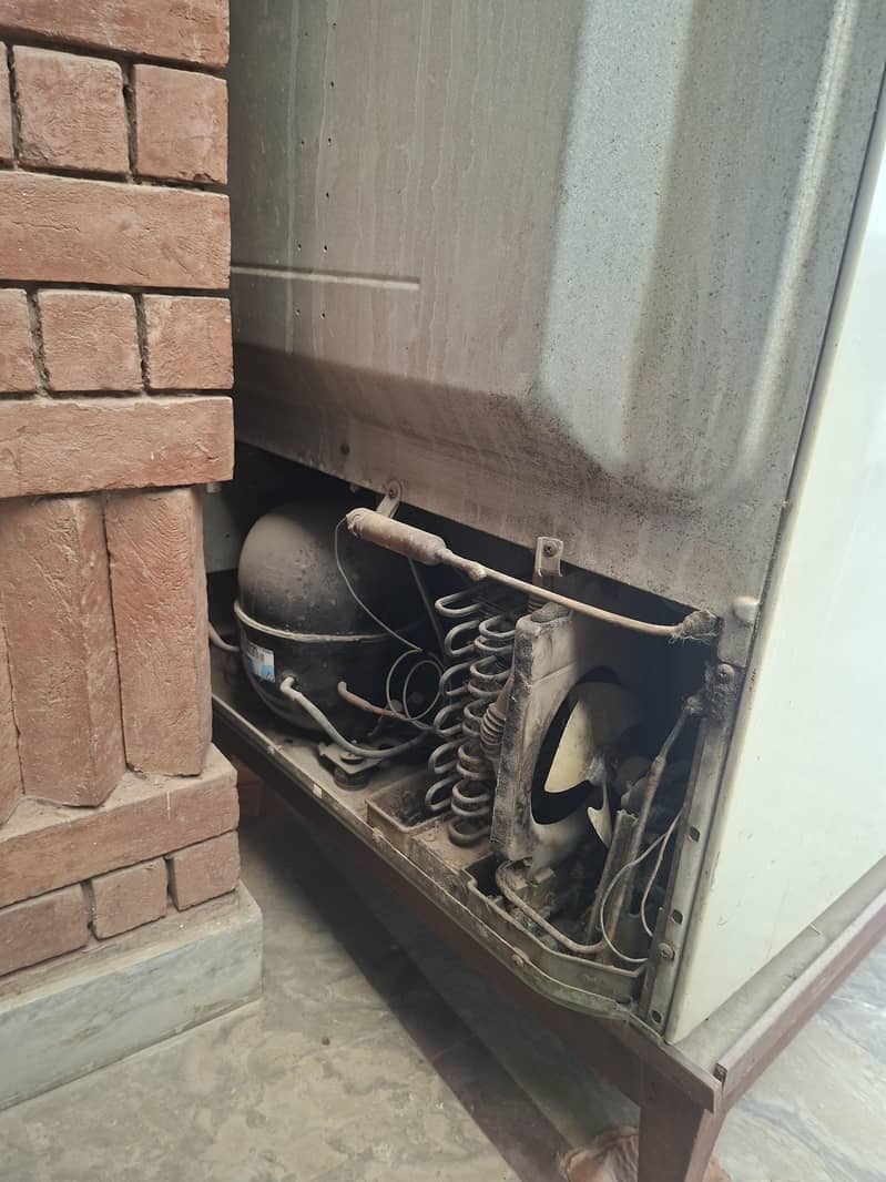 Fridge 1