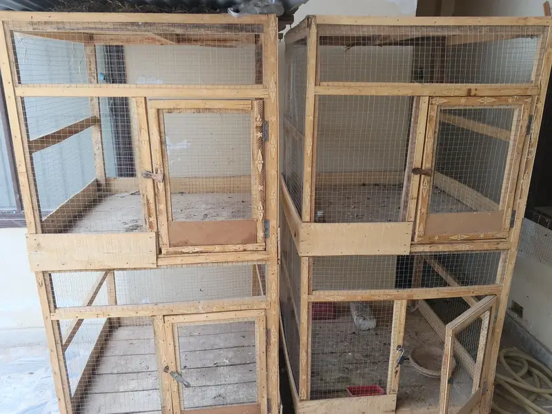 2 strong best cages with good double wood and 16g steel mesh — photo 2