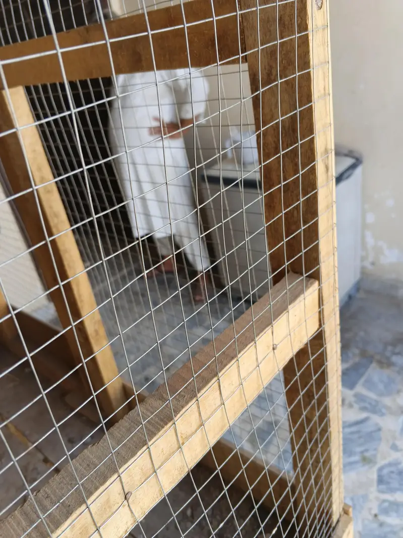 2 strong best cages with good double wood and 16g steel mesh — photo 5