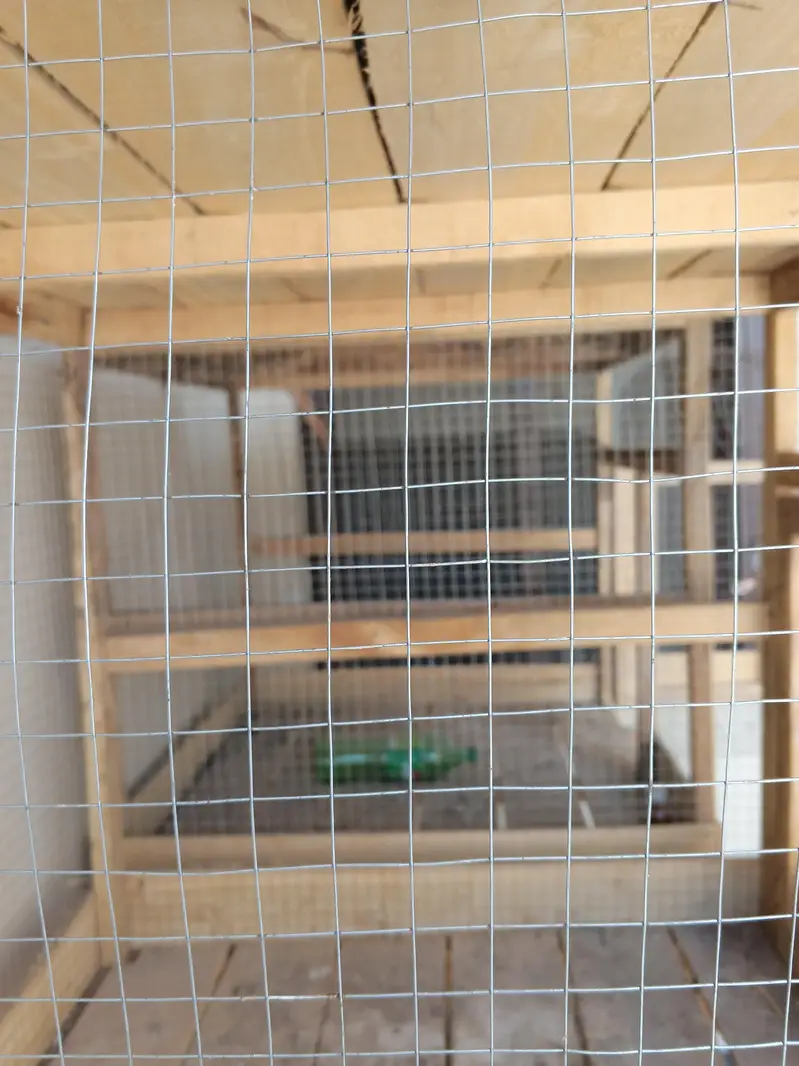 2 strong best cages with good double wood and 16g steel mesh — photo 6
