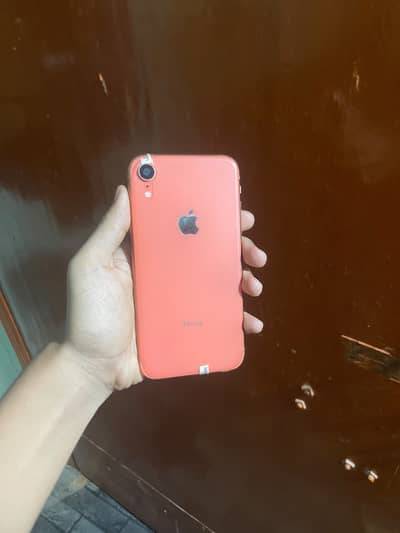 iPhone Xr (Exchange Possible)