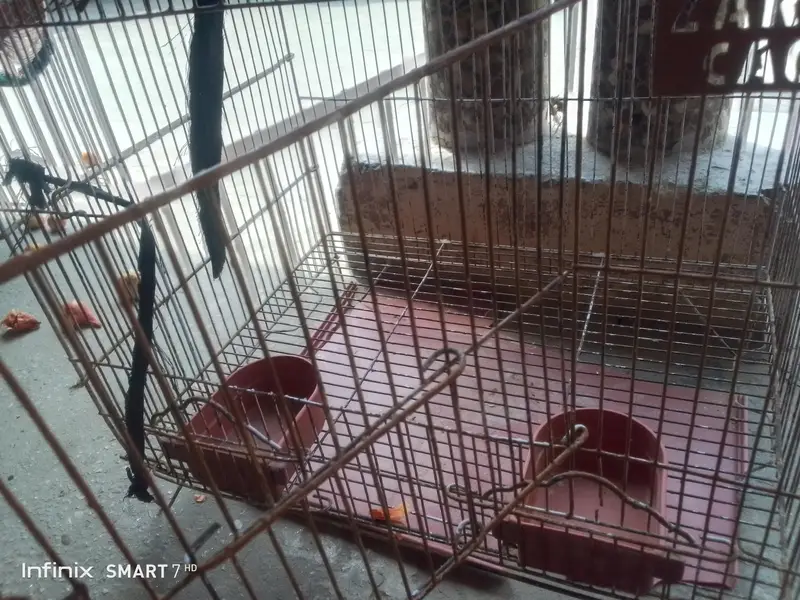 cage for sale — photo 3