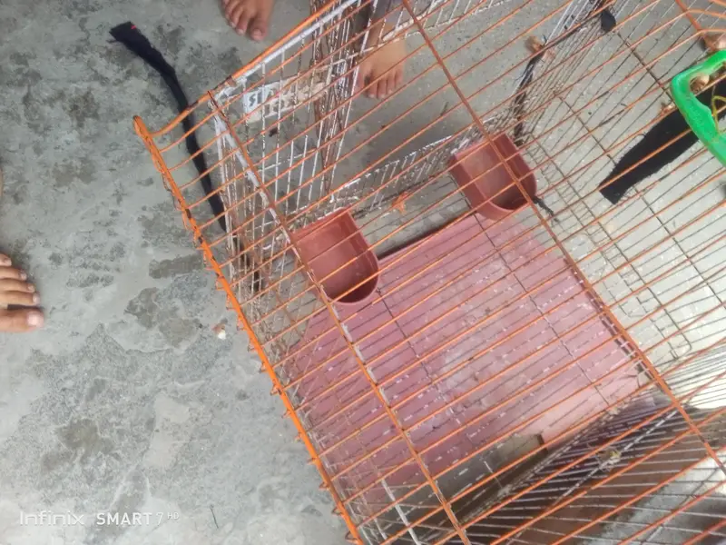 cage for sale — photo 4