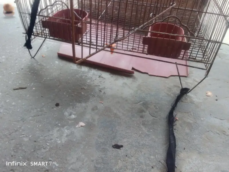 cage for sale — photo 5