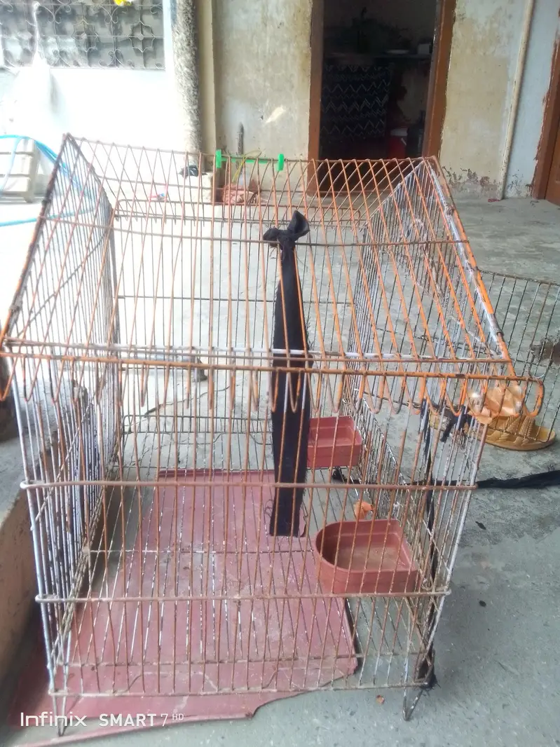 cage for sale — photo 6