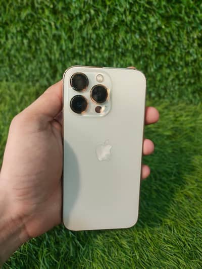 Apple iPhone 13 Pro