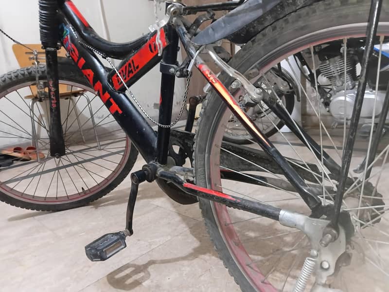 bicycle 3