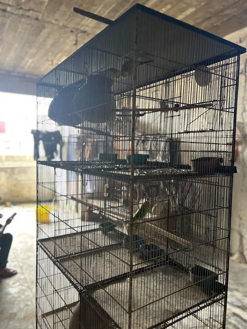 12 portion cage — photo 2