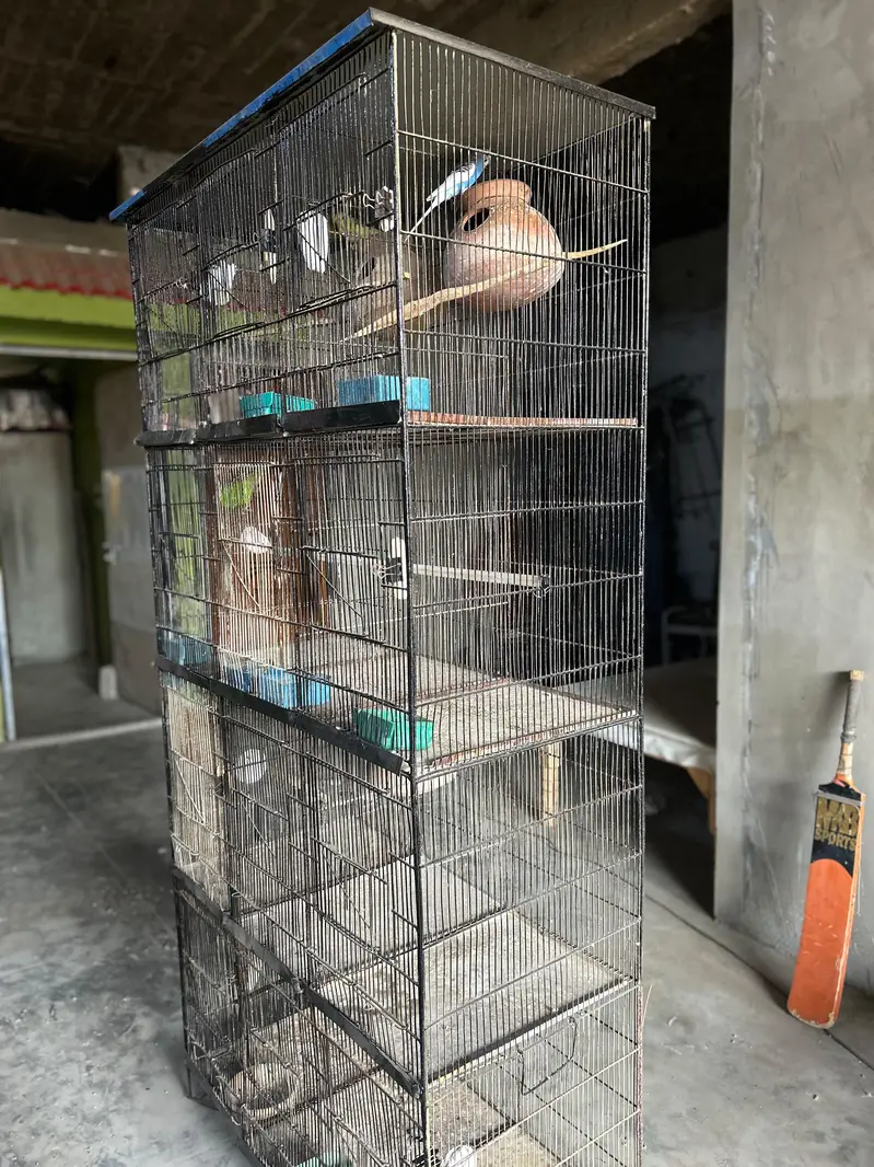 12 portion cage — photo 4