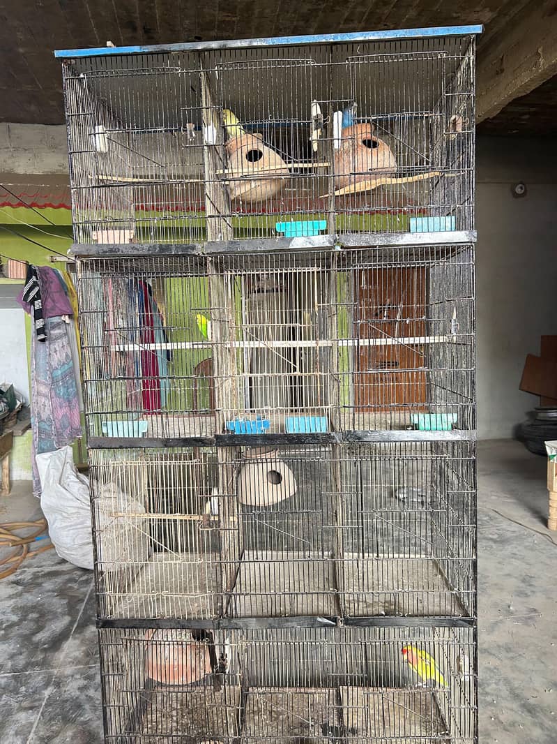 12 portion cage 4