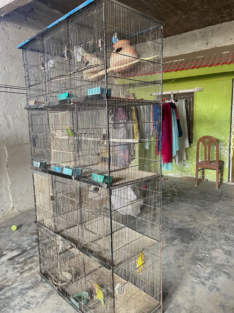 12 portion cage — photo 6