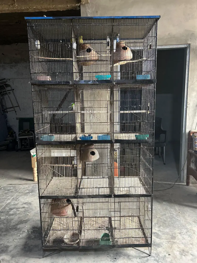 12 portion cage — photo 7