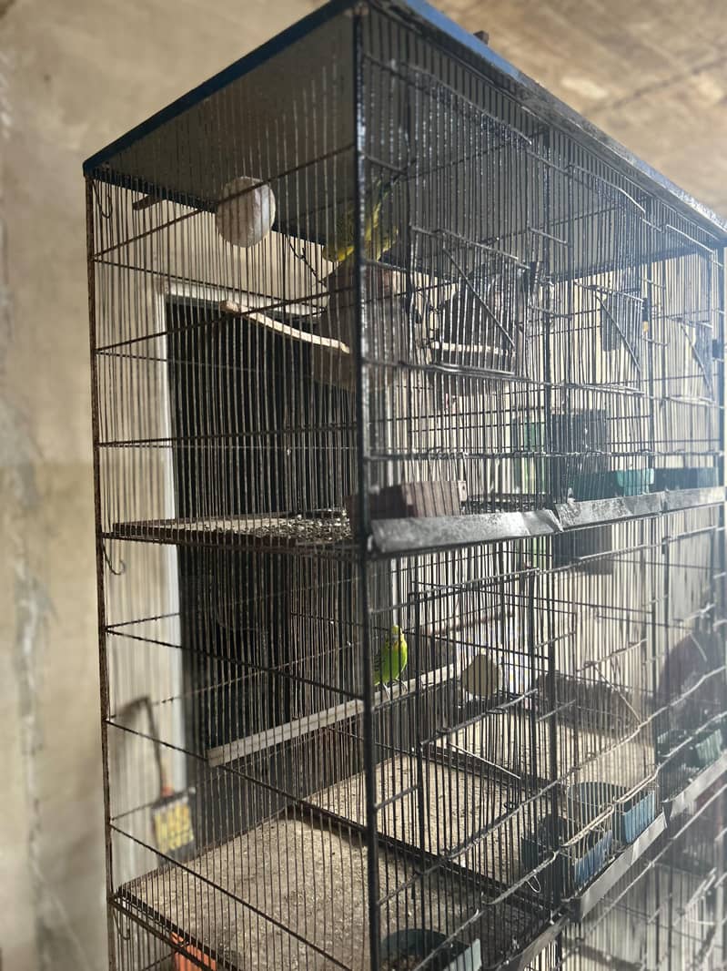 12 portion cage 7