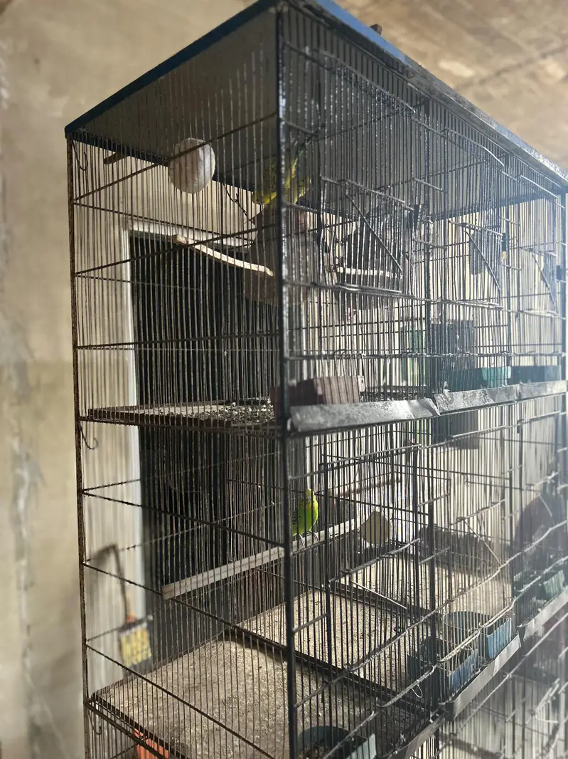 12 portion cage — photo 8