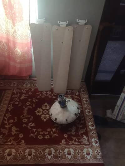 Celling Fans For Sale