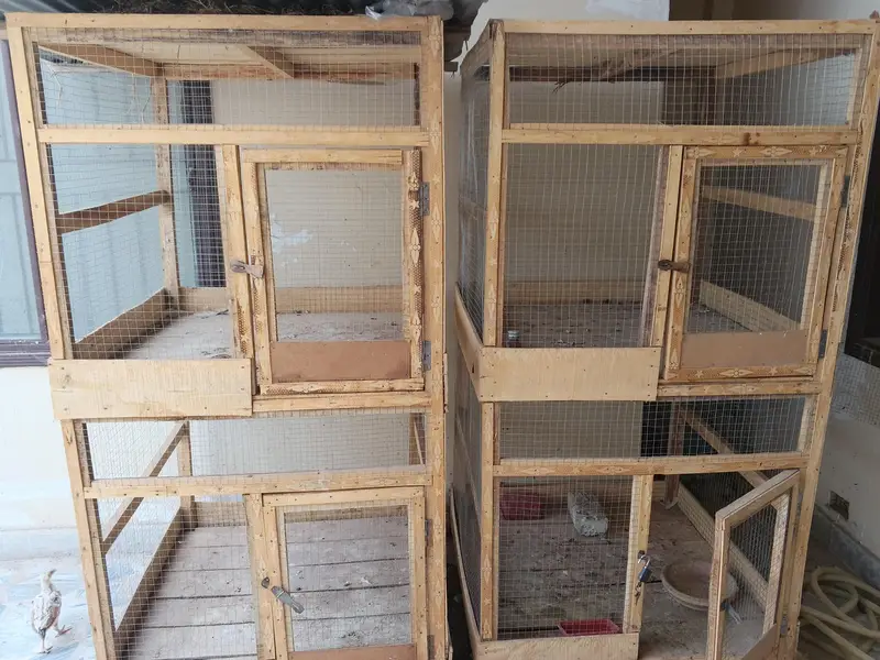 2 strong best cages with good double wood and 16g steel mesh — photo 2