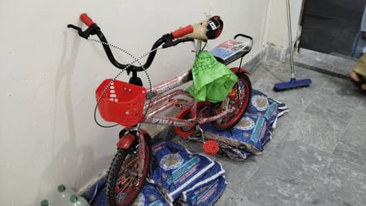 best cycle
