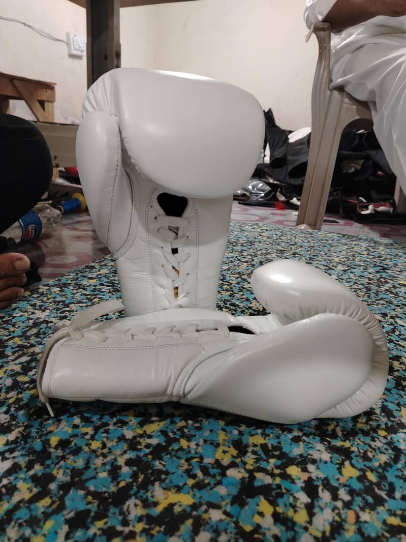 boxing gloves 1