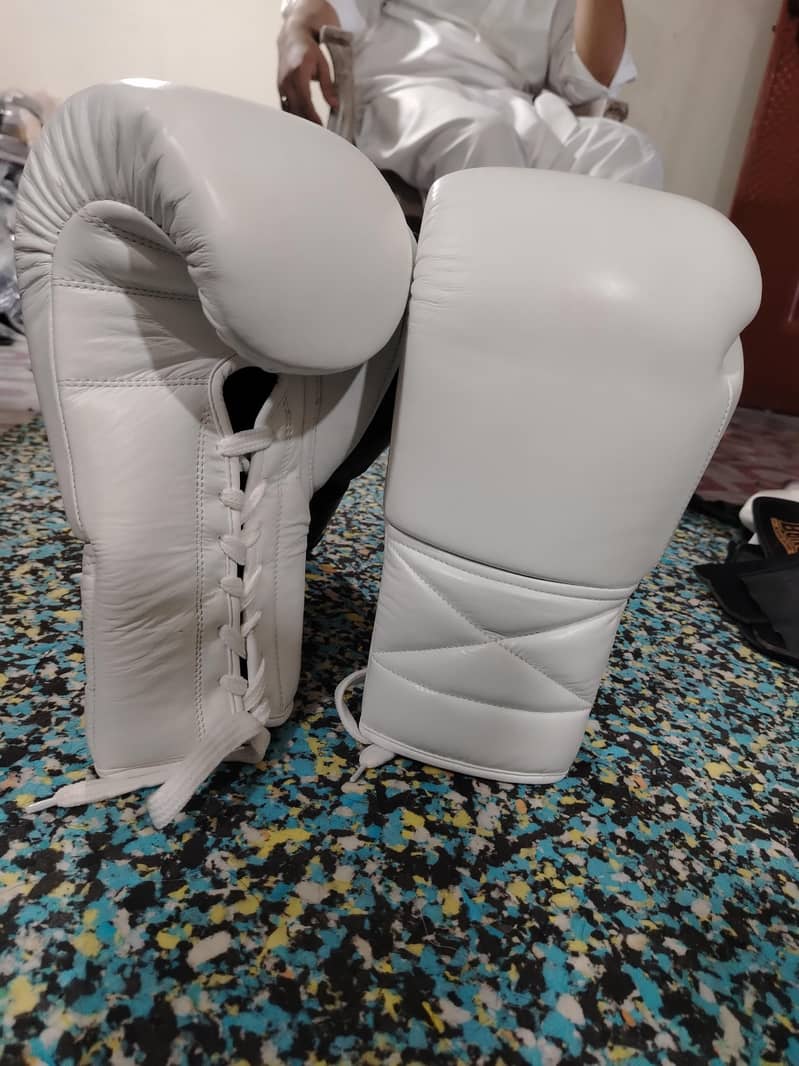 boxing gloves 2