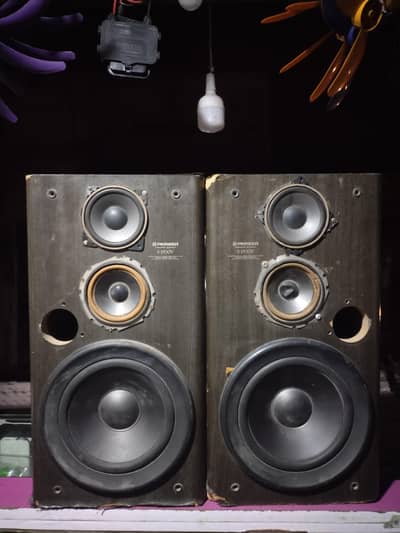 pioneer