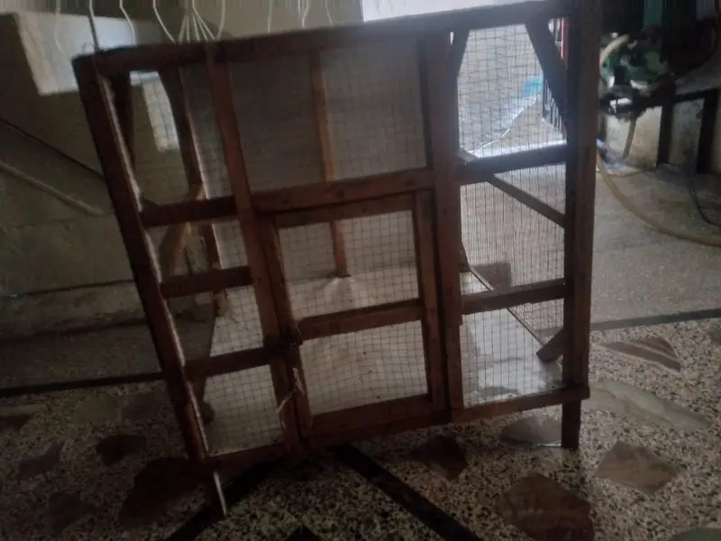 hen Cage — photo 2