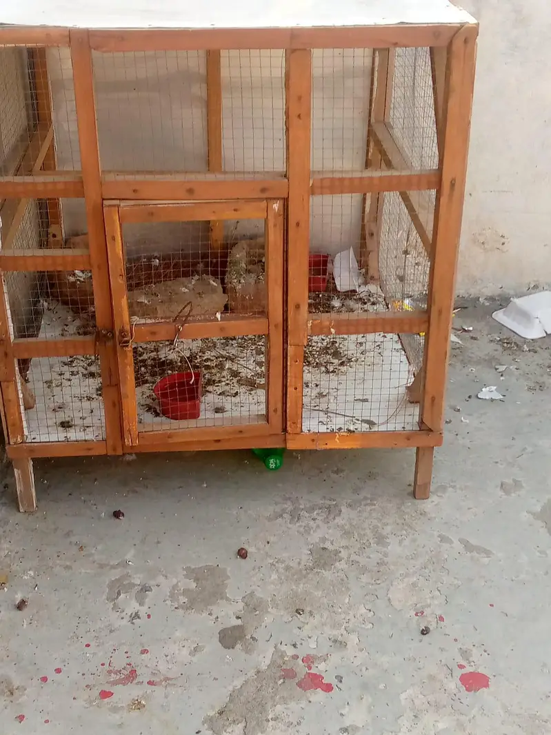 hen Cage — photo 4