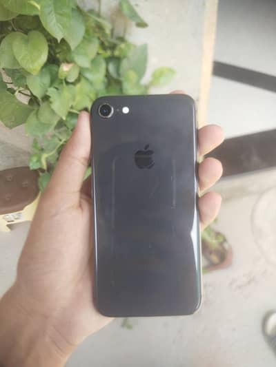 Apple iPhone 8