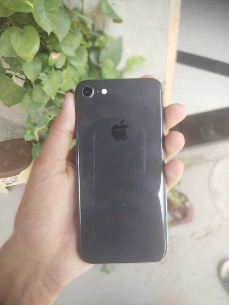 Apple iPhone 8 0