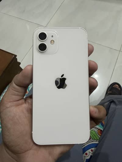 Apple iPhone 12