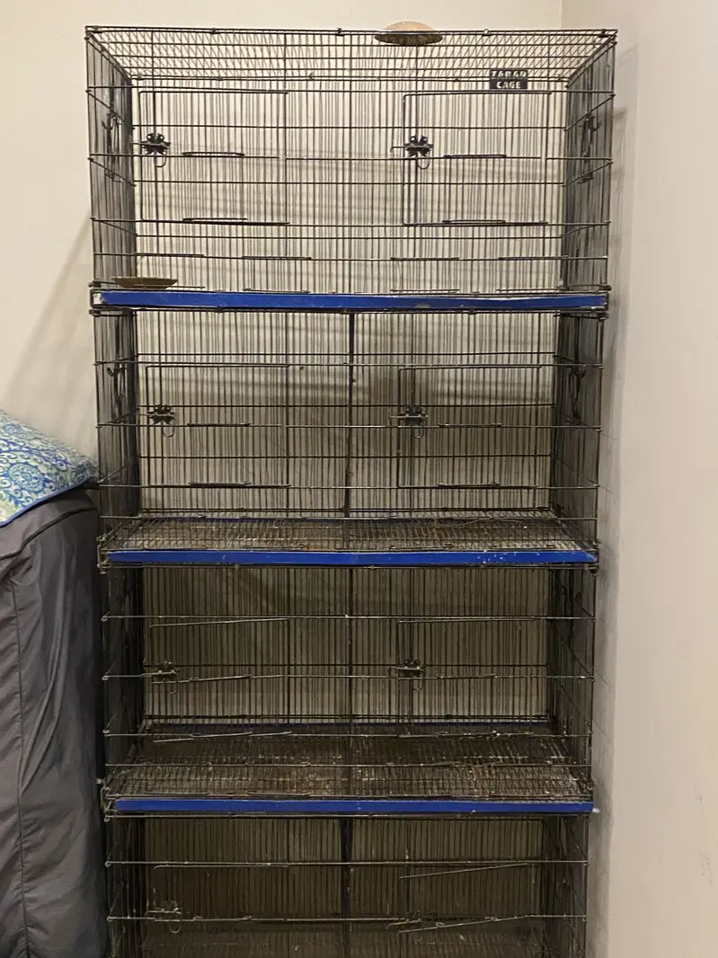Cage for sale — photo 2