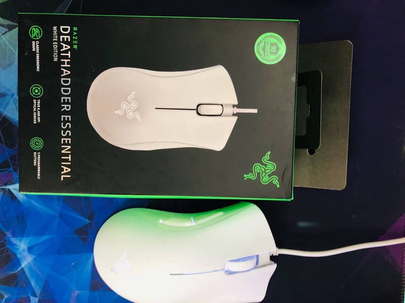 Mouse 1